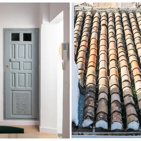 Luna Palacio Dorita