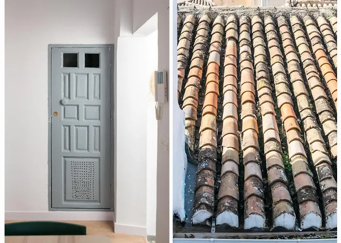 Luna Palacio Dorita